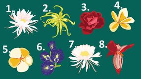 Wybierz kwiat, który najlepiej do ciebie pasuje