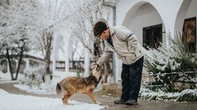 Nigdy nie dawaj psu ręki do powąchania