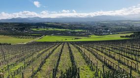 Przewodnik po hiszpańskich winnicach. Dokąd warto się wybrać?