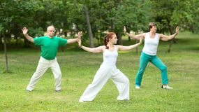 Ludzie ćwiczą tai chi w parku