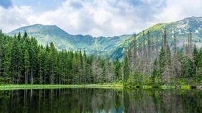 Smreczyński Staw w Tatrach