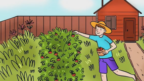 Test logiczny IQ. Znajdź błąd na obrazku. Masz 7 sekund