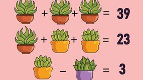 Rozwiąż równania. Zadanie matematyczne IQ