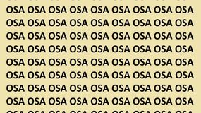 Znajdź błędnie zapisane słowo OSA