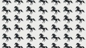 Zagadka logiczna IQ z końmi