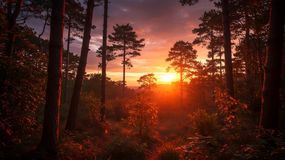 Najkrótszy dzień w 2025 roku. Będzie trwać mniej niż 8 godzin