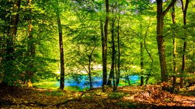 Rezerwat przyrody Meteoryt Morasko. "Ewenement na skalę światową"