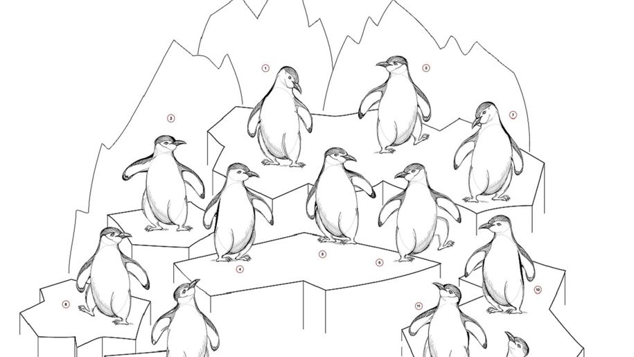 Zagadka IQ z pingwinami