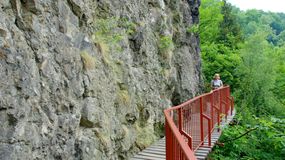 Ścieżka Hochbergów 