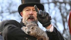 Kiedy przyjdzie wiosna 2025? Świstak Phil przepowiedział pogodę