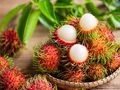 Rambutan