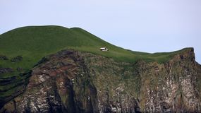 Praca na bezludnej wyspie Bjarnarey