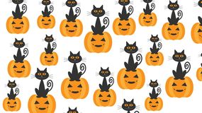 Test na spostrzegawczość: znajdź sowę