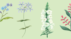 Psychotest. Wybierz 1 kwiat i poznaj sekrety swojej osobowości