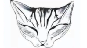 Co widzisz na obrazku? Ten psychotest zdradza twoje ukryte cechy