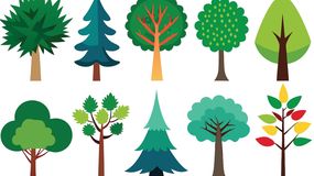 Wybierz jedno drzewo. Psychotest