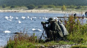 Rezerwat przyrody Mewia Łacha