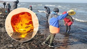 Zbieracze bursztynów