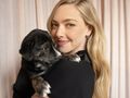 Amanda Seyfried