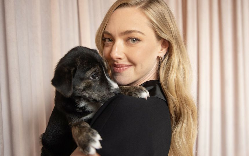 Amanda Seyfried