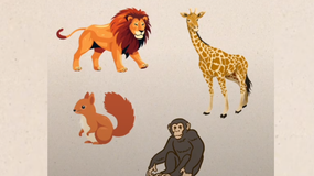 Wybierz zwierzę. Jak rozwiązujesz problemy?