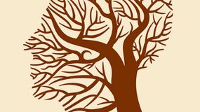 Psychotest: co widzisz drzewo, głowę, żyły?