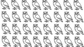 Test IQ. Znajdź inną sowę