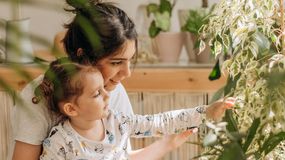 Biofilia to życie w zgodzie z naturą