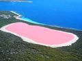 Różowe jezioro w Australii