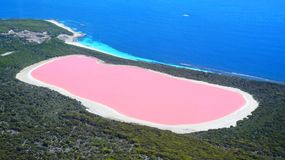 Różowe jezioro w Australii
