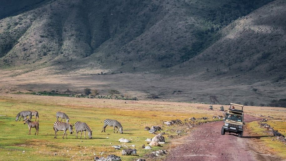 Safari w Tanzanii