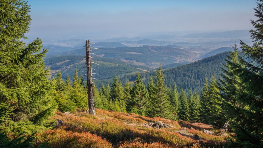 Mało znane szlaki górskie w Polsce. 6 pięknych tras bez tłumu turystów