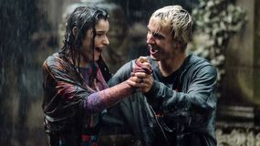 "Wrooklyn Zoo" (2024) 