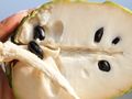Cherimoya to najzdrowszy owoc na świecie. Wielu Polaków go nie zna