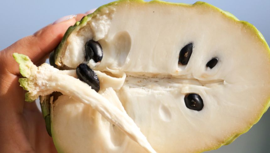Cherimoya to najzdrowszy owoc na świecie. Wielu Polaków go nie zna
