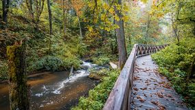 Rezerwat Czartowe Pole