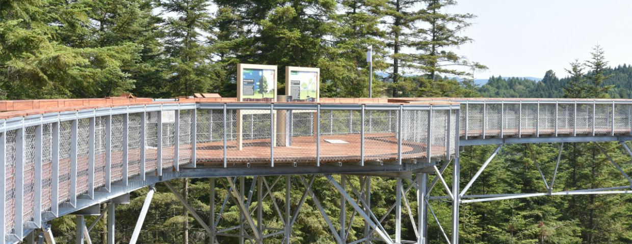 Tak wygląda podobna atrakcja w Ciężkowicach