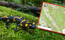 Turnicki Park Narodowy powstanie?