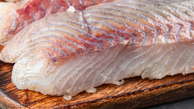 Halibut