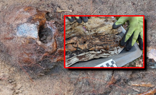 Odkrycie, grób niemieckiego żołnierza w Polsce