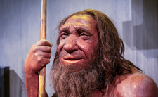 historia, neandertalczycy, ewolucja