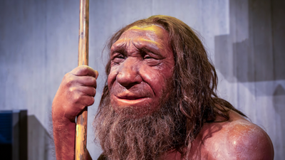 historia, neandertalczycy, ewolucja