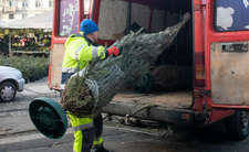 Gdzie wyrzucić choinkę? Przepisy, odpady