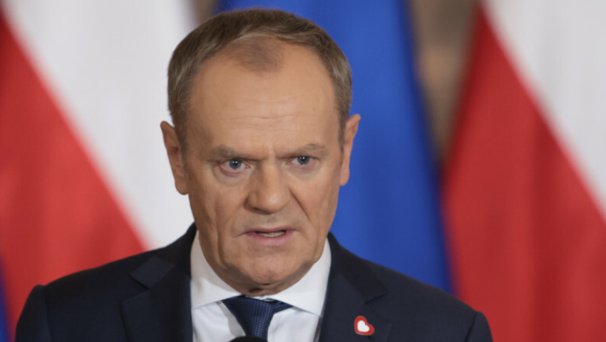 Plany Donalda Tuska na lasy w Polsce