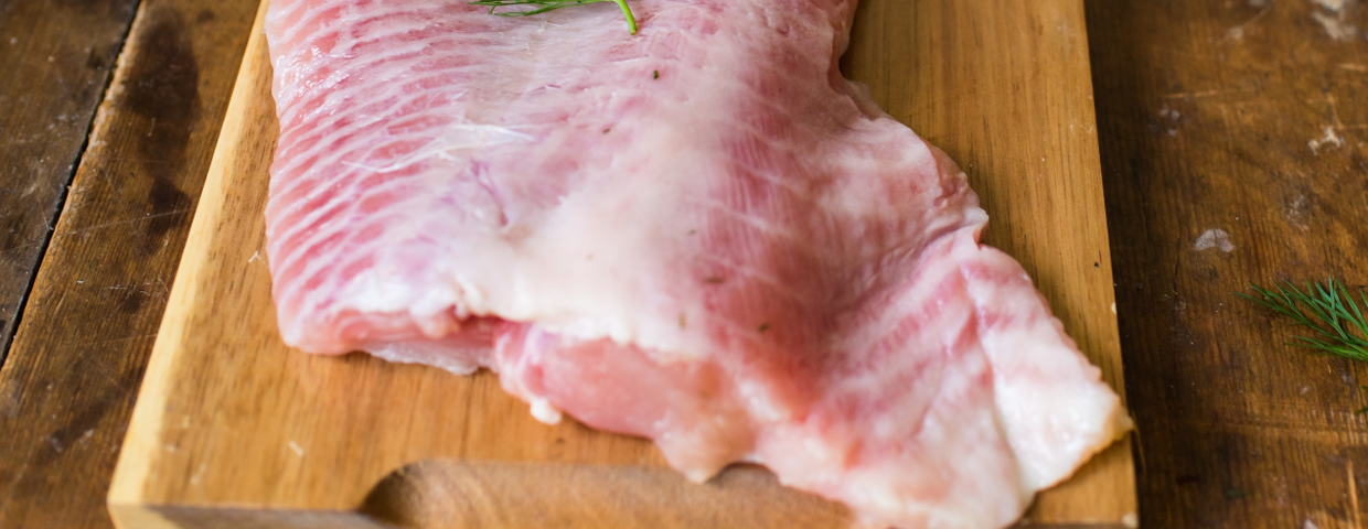 ryba sum filet