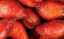 Salaka, owoc wężowy