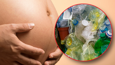 Mikroplastik odkryty w łożyskach
