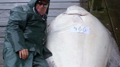 Zamiast karpia halibut. Świąteczna ryba, mało ości