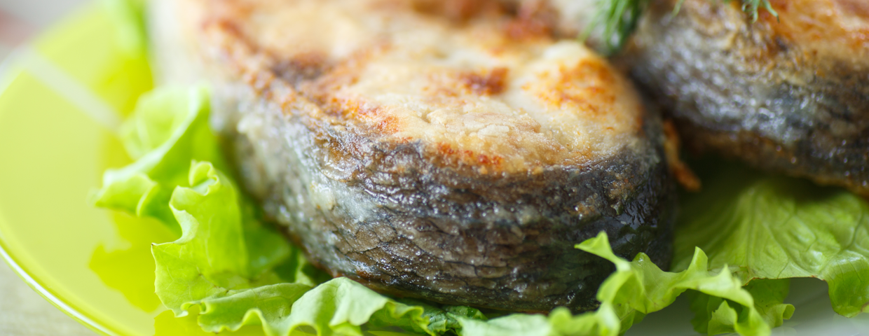 Tołpyga, ryba na święta zamiast karpia