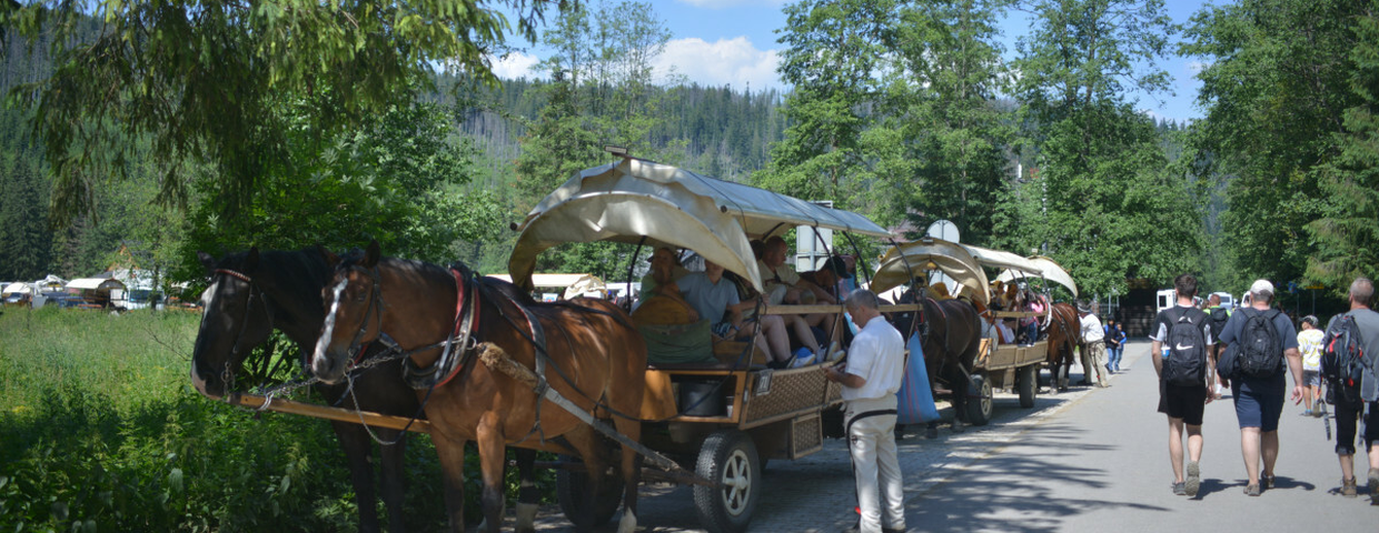 Koniec busów w Zakopanem? Wielka zmiana